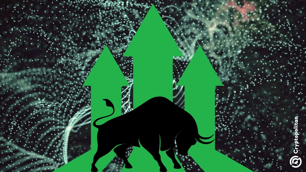 CryptoDéjàVu: Is the bull market\