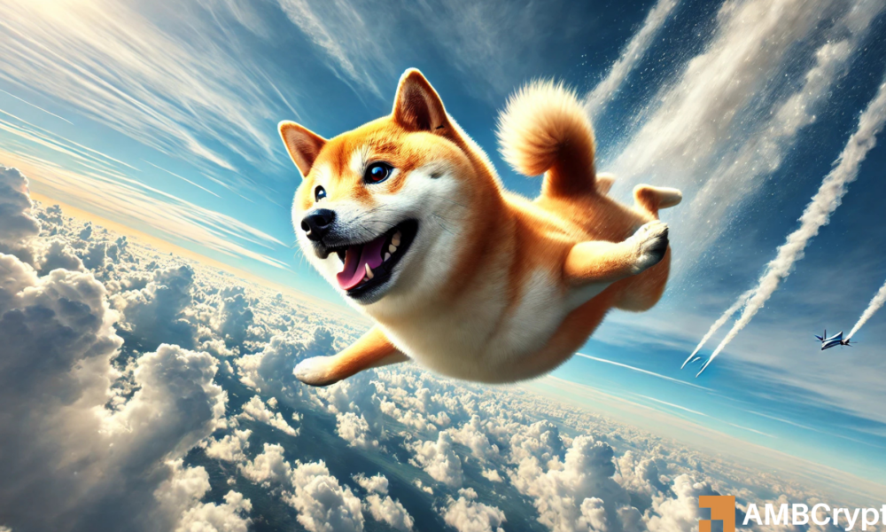 自由落体中的柴犬(Shiba Inu)- 探究什布(Shib)下降背后的原因?