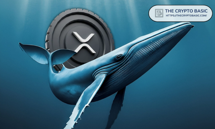 Unknown User Transfers 17,841,869 XRP to Coinbase: Details Revealed