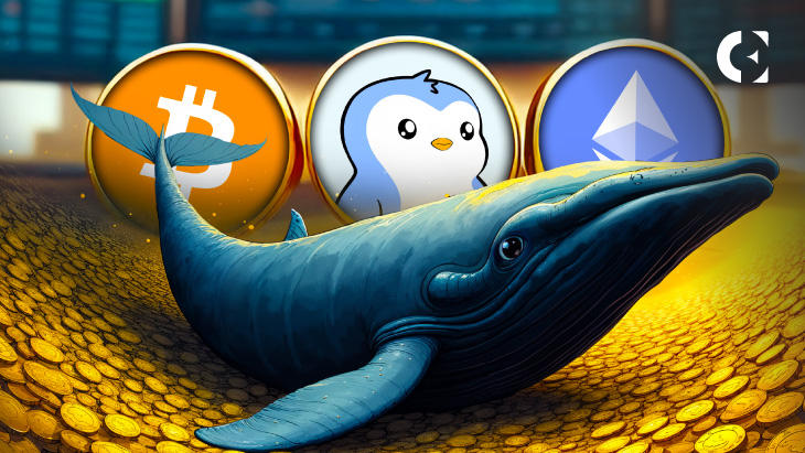 Whales Re-enter the Market: Stockpiling Three Currencies for 2025