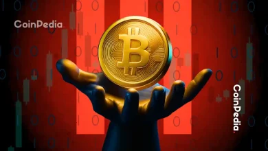 比特币价格今日下跌4%，老鲸鱼在杠杆交易中重新觉醒